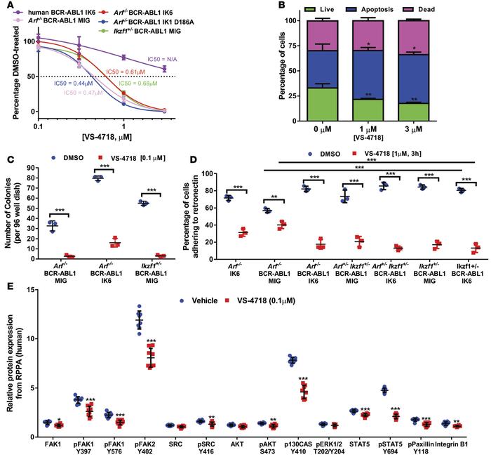 JCI Insight - Synergism of FAK and tyrosine kinase inhibition in Ph+ B-ALL