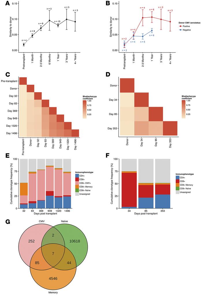 Posttransplant TRB repertoires become more similar to input donor repert...