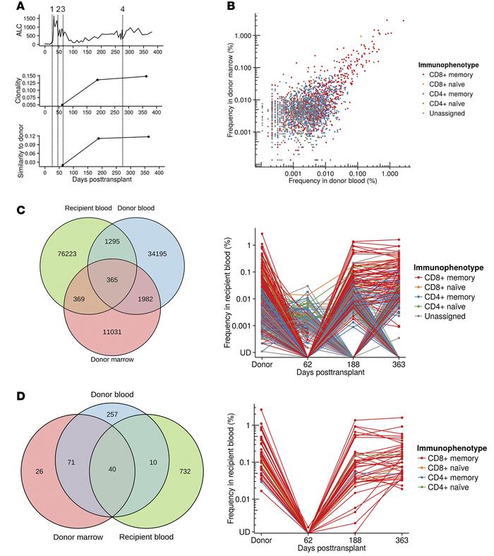 Dynamic repertoire changes occur after transplant.
Data from donor and r...