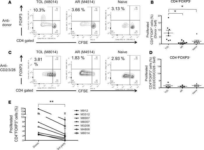 Allo-specific Treg expansion in tolerant recipients.
CD3+ cells isolated...