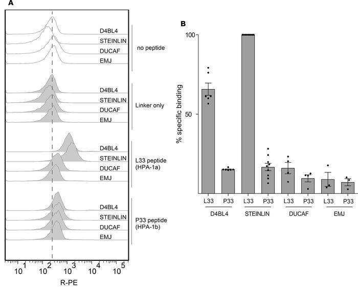 Peptide binding to cell lines.
Binding of control 12-mer peptides (L33 a...