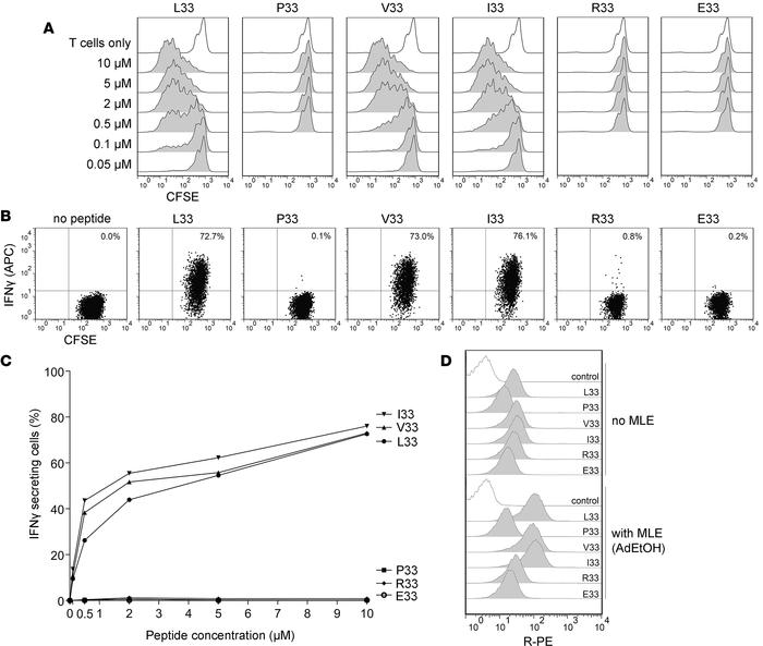 HPA-1a–specific T cells do not exclusively recognize the Leu33 residue i...