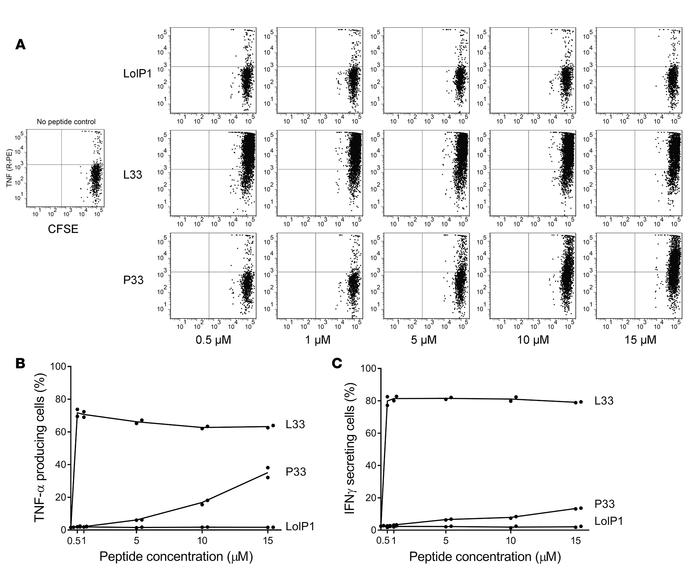 High concentrations of P33 can also activate T cell clones.
T cell activ...