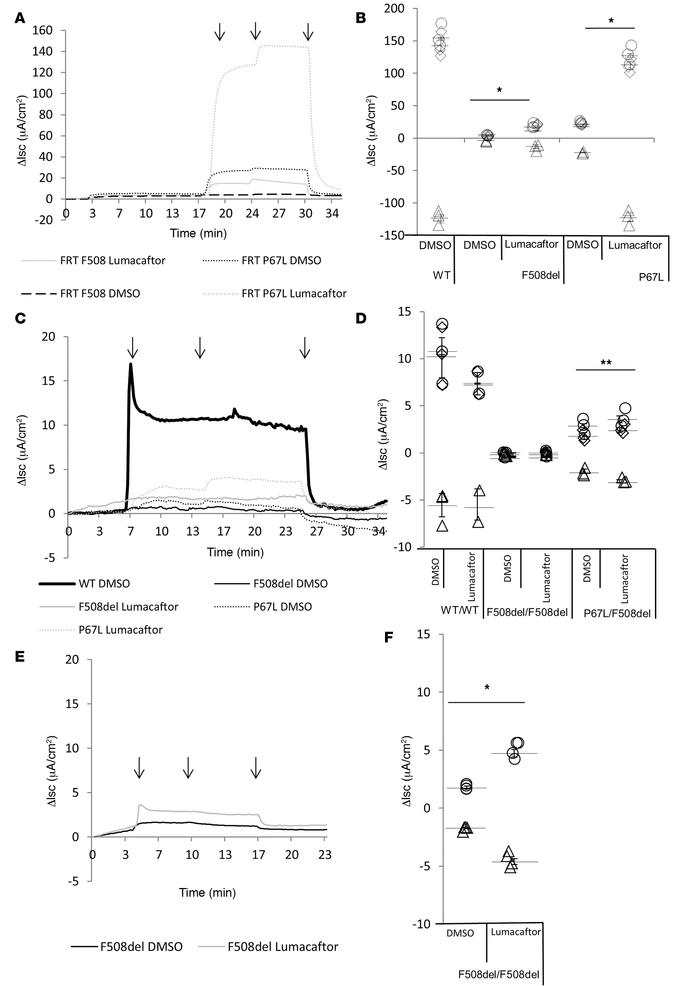 Functional assessment of the P67L cystic fibrosis transmembrane regulato...