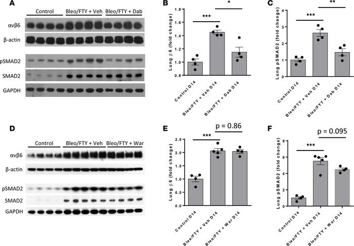 Effects of thrombin inhibition and vitamin K antagonism on lung αvβ6 exp...