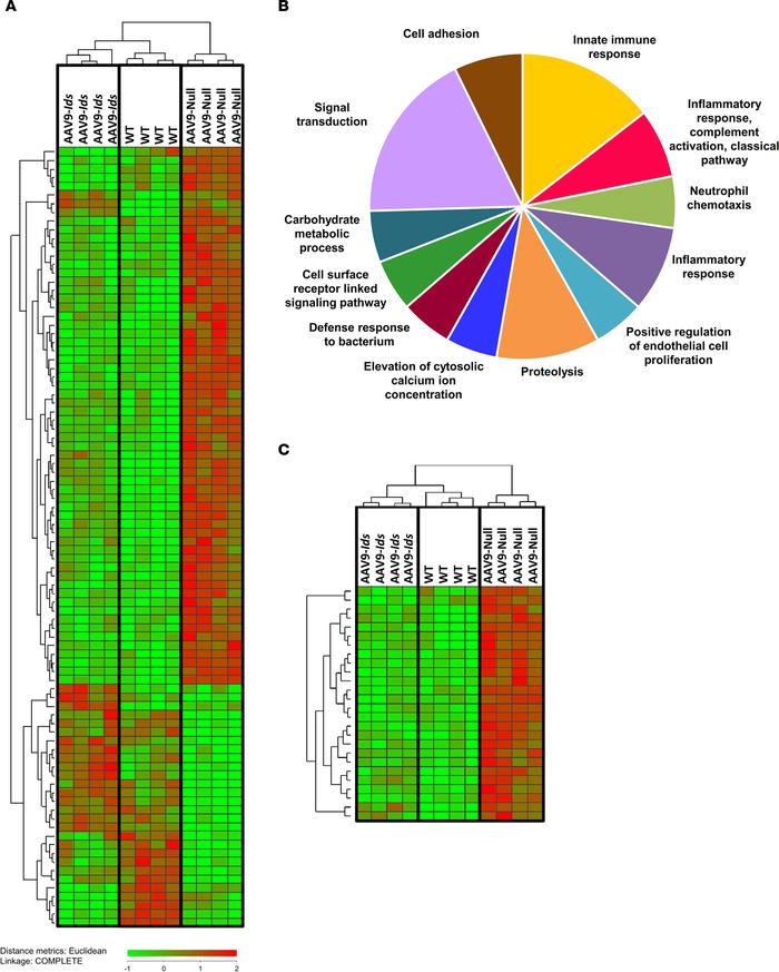 
						Normalization of CNS transcriptional signature following intra-CS...