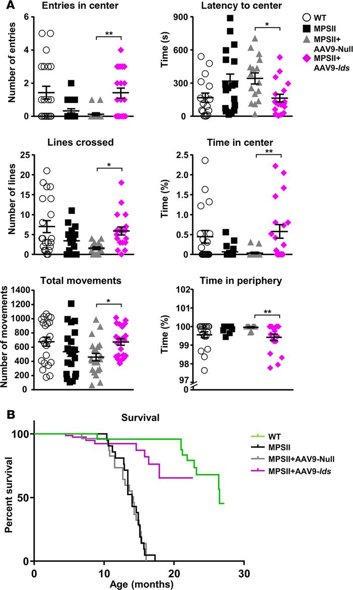 Functional disease correction in MPSII mice treated with intra-CSF gene ...