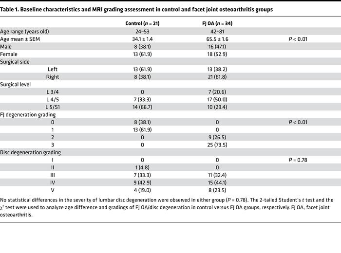 Baseline characteristics and MRI grading assessment in control and facet...