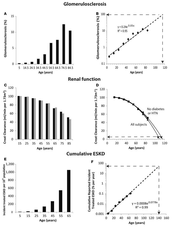 Native kidney half-life estimations.
(A and B) Proportion of glomeruli w...
