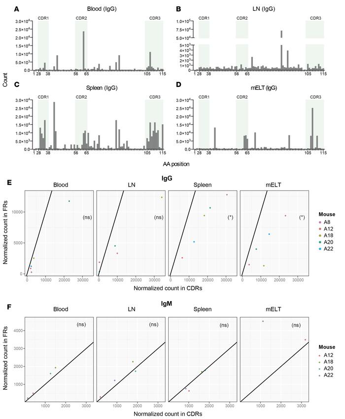 SHM in IgG but not IgM transcripts from mELT occurs in an antigen-driven...