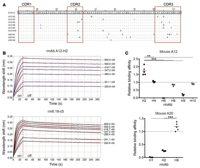 Somatic IgG-VH mutations occurring in mELT cause significant alterations...