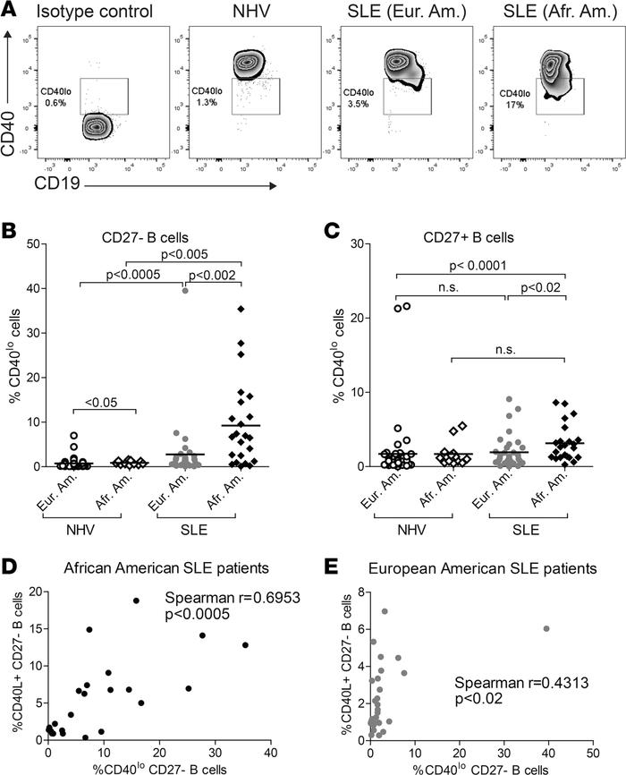 African American (Afr. Am.) systemic lupus erythematosus (SLE) patients ...
