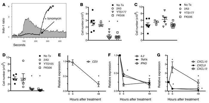 TCR signaling is required for islet T cell retention.
(A) Mobilization o...