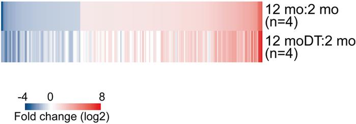 Effect of p19ARF-expressing cell elimination on aging-associated gene ex...