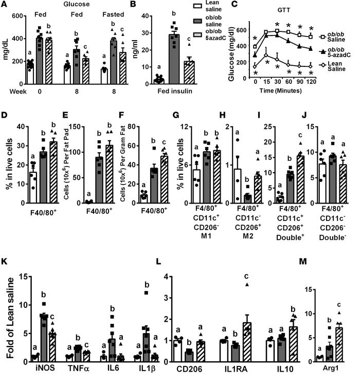 Inhibiting DNA methylation by 5-aza-2′-deoxycytidine improves insulin se...