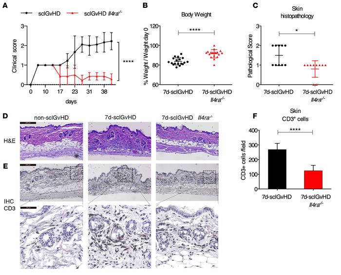 IL4RA-deficient hosts are protected from sclGvHD.
(A) Clinical scores of...
