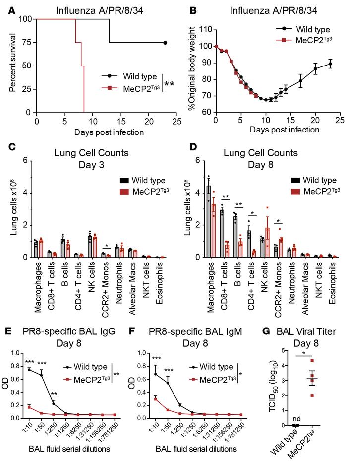 MeCP2Tg3 mice are highly susceptible to influenza A infection, with late...
