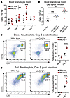 Peripheral and pulmonary neutrophilia associated with mortality occurs on d