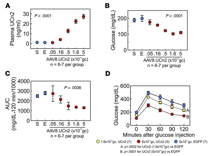 AAV8.UCn2 dose-response relationship.
The effects of AAV8.UCn2 dose on p...