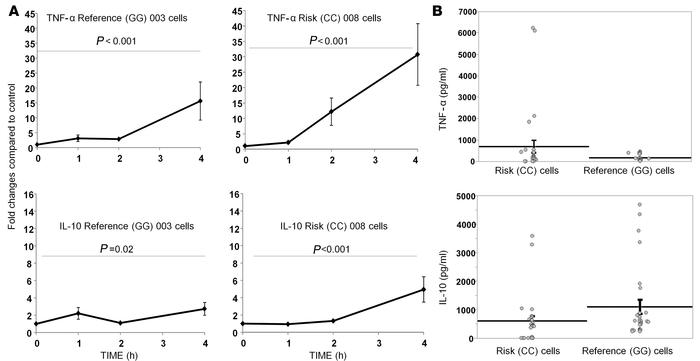Changes in secreted cytokine (TNF-α and IL-10) levels in the media over ...