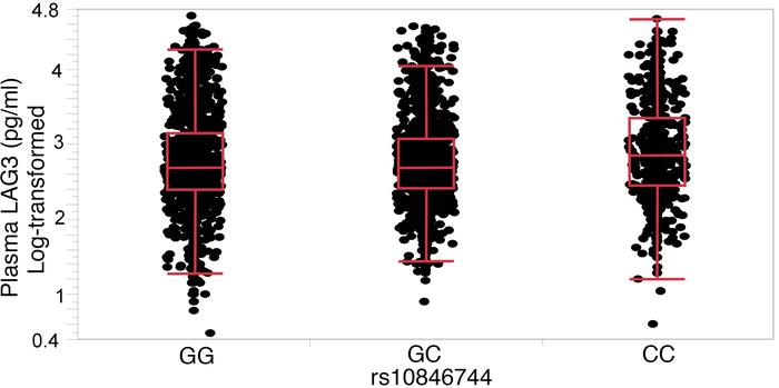 Association of SCARB1 rs10846744 genotypes with plasma LAG3 (log-transfo...