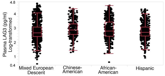 Association of race/ethnicity with plasma LAG3 (log-transformed) in MESA...