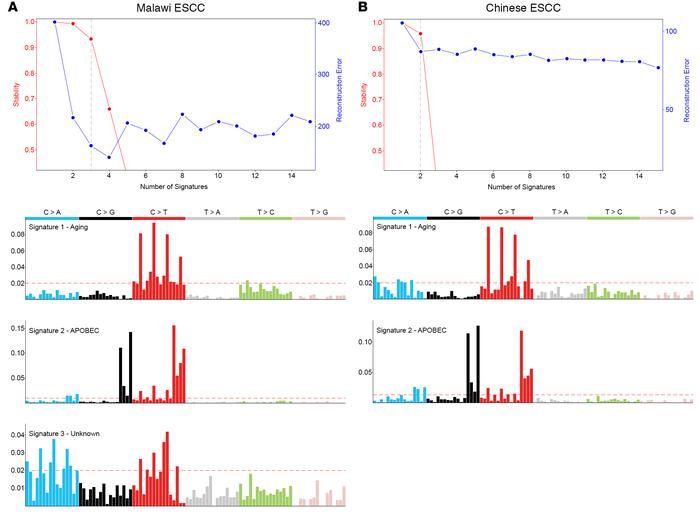 Mutational analysis of exome data and p53.
Signature stability (top) and...