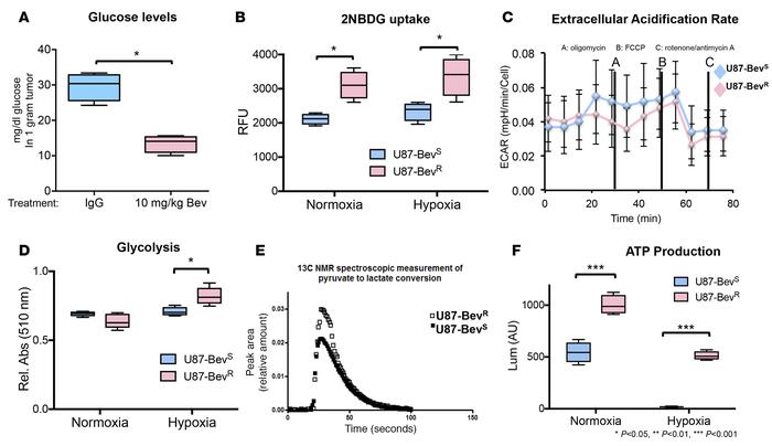 Increased glycolytic metabolism in a xenograft model of antiangiogenic t...