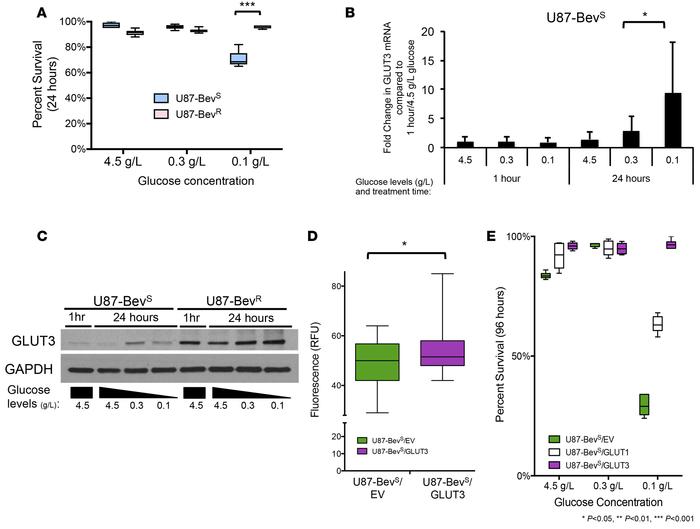 Bevacizumab-resistant xenograft cells exhibit greater survival in low gl...