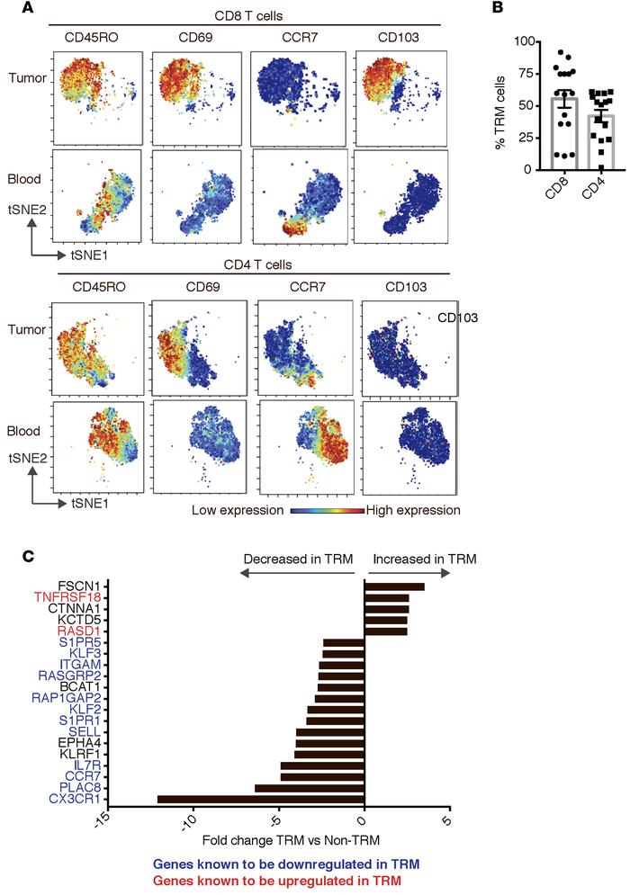 Melanoma tumors are enriched for tissue-resident memory T cells.
Paired ...