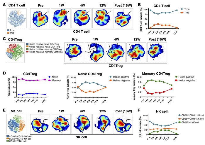 Proportional representation of each lymphocyte subset during low-dose IL...