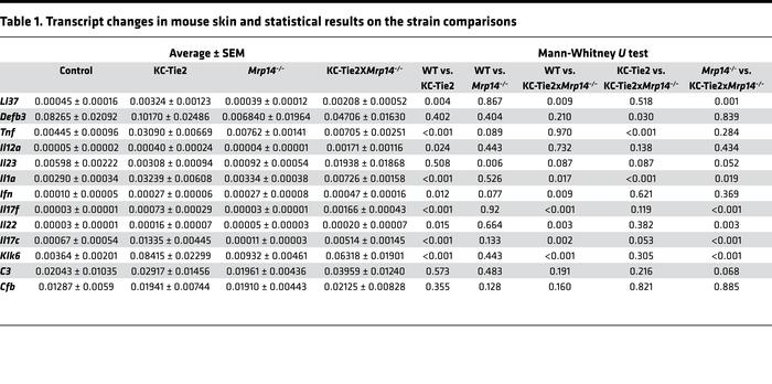 Transcript changes in mouse skin and statistical results on the strain c...