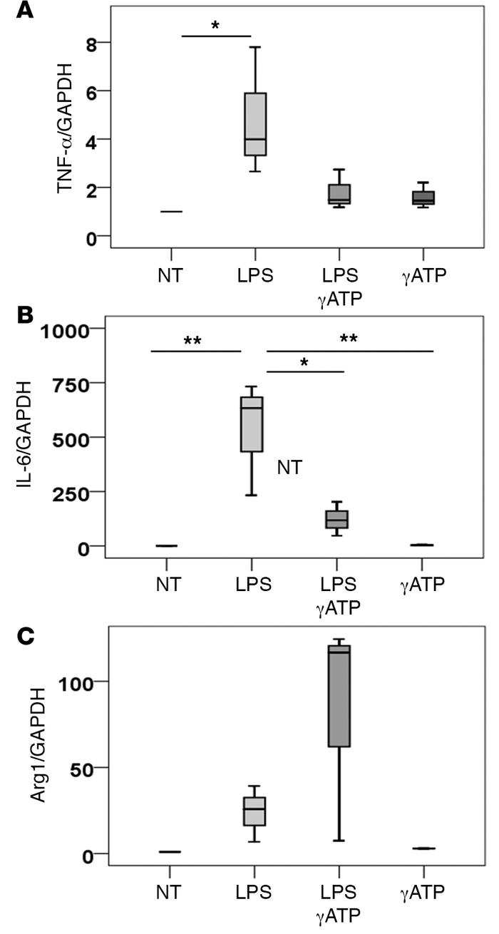 Polarization of activated bone marrow–derived macrophages after γATP sti...