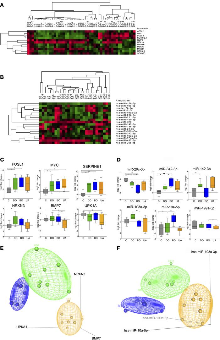 QPCR validation of NGS data and 3D scatter plots of 3-mRNA and 3-miRNA s...