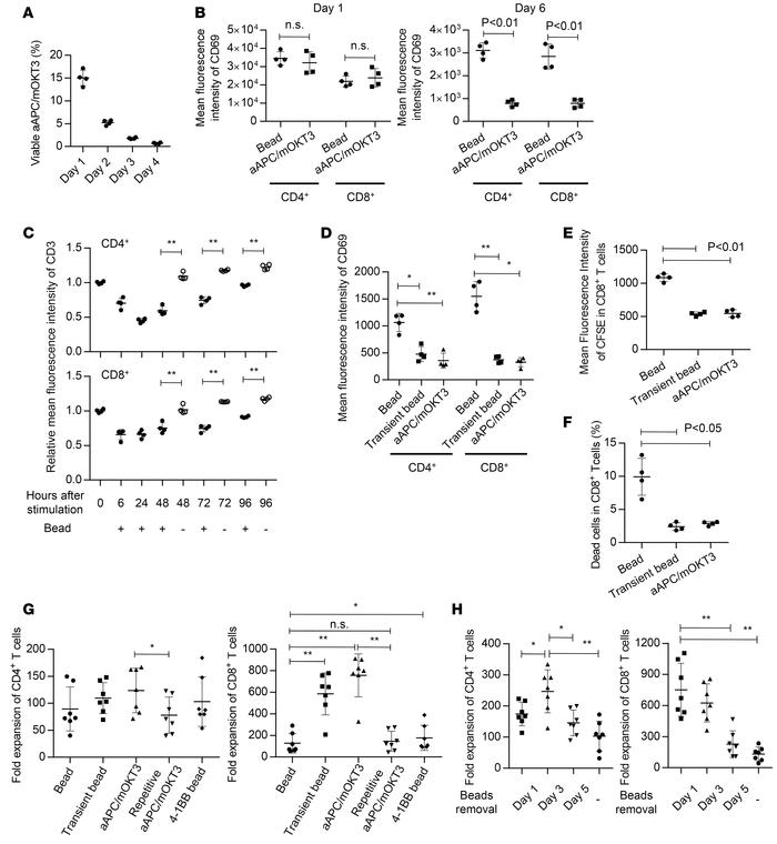 Transient stimulation provides superior proliferative signals for CD8+ T...