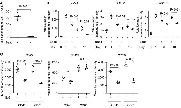 IL-2 receptors are sufficiently upregulated by transient stimulation and...