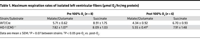 Maximum respiration rates of isolated left ventricular fibers (μmol O2/h...