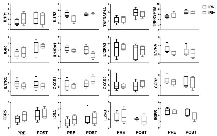 Transcripts of genes encoding cognate receptors for 10 of the 14 IRI-rel...
