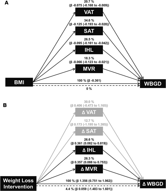 Multiple mediator models.
(A) Multiple mediator model with visceral adip...