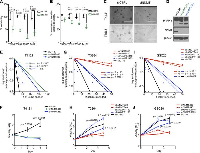 Decreased in vitro mesenchymal GSC growth and self-renewal capacity upon...