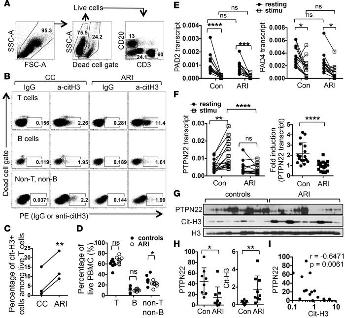 Sources and causes of citrullinated histone H3 in PBMCs of at-risk indiv...