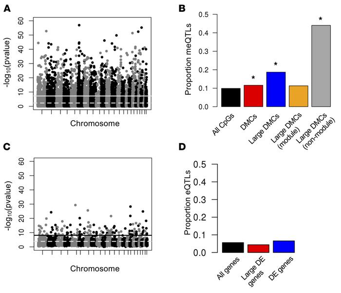 QTL mapping of methylation (meQTL) and expression (eQTL) levels.
(A) Man...
