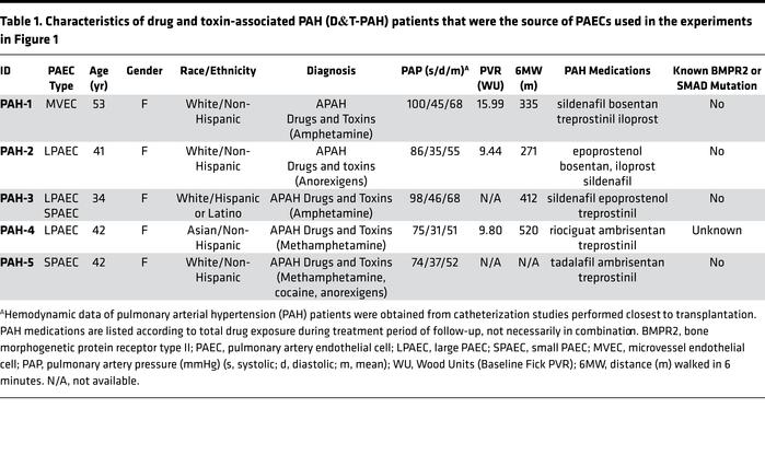 Characteristics of drug and toxin-associated PAH (D&amp;T-PAH) patients ...
