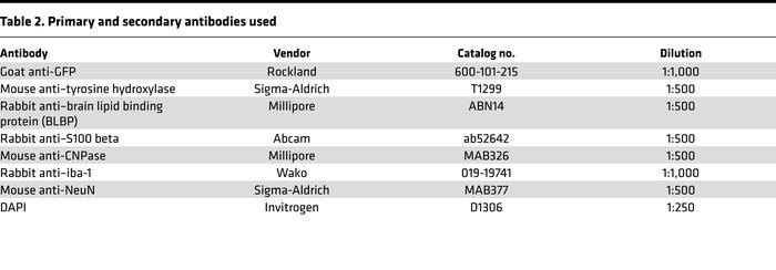 Primary and secondary antibodies used