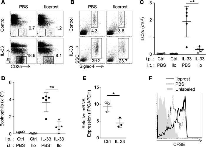Iloprost directly suppresses ILC2 proliferation.
(A and B) Representativ...