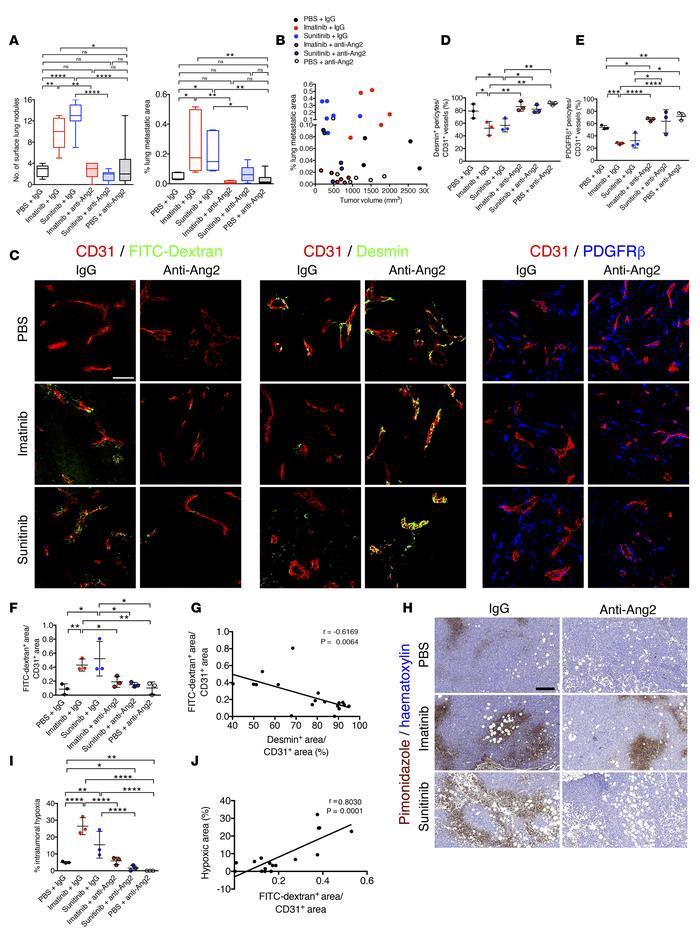 Perivascular composition demarcates metastatic burden in MDA-MB-231 tumo...