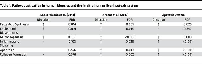 Pathway activation in human biopsies and the in vitro human liver lipoto...