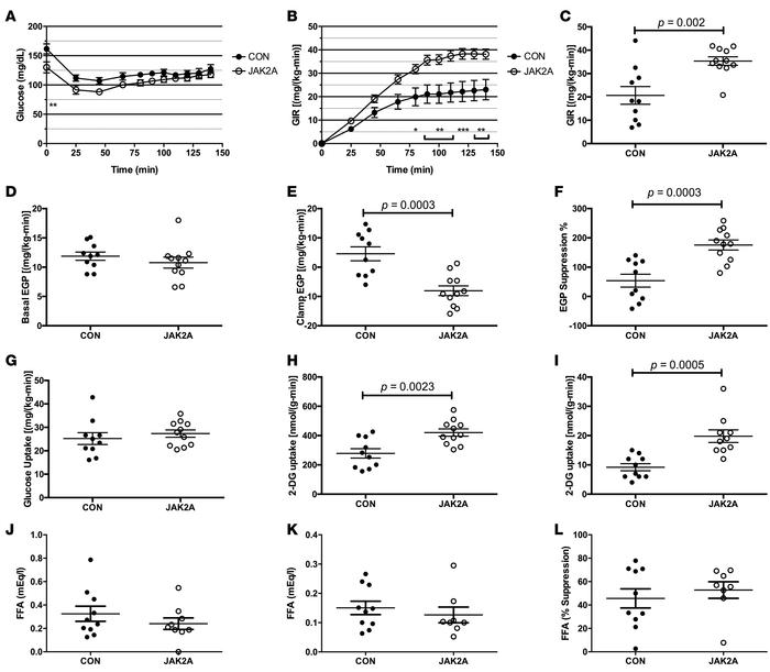 Loss of adipocyte Jak2 imparts hepatic and whole-body insulin sensitivit...