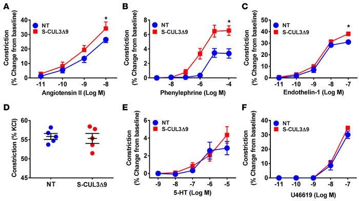 Vasoconstriction in the basilar arteries from S-CUL3Δ9 mice.
Dose-depend...