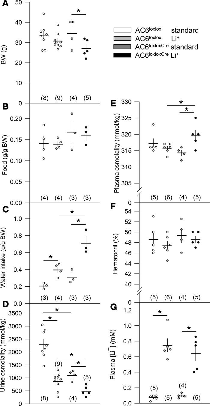 Li+ induces lower urine osmolality and higher water intake in AC6loxloxC...